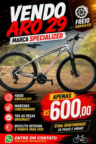 Aro 29