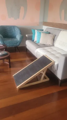 Uma Rampa pet super nova