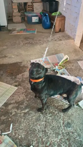 Doação