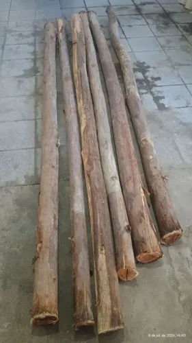 Pontalete de Eucalipto ótimo para andaime