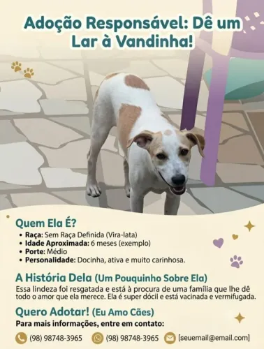 Doação de uma cadela