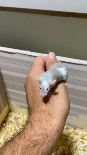 Doação 