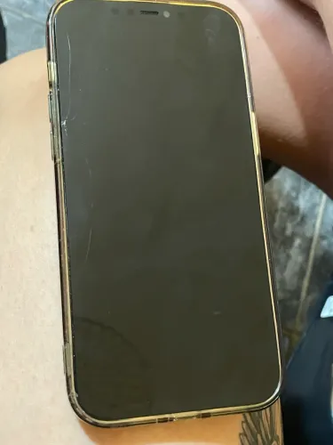 iPhone 12 Pro Max 