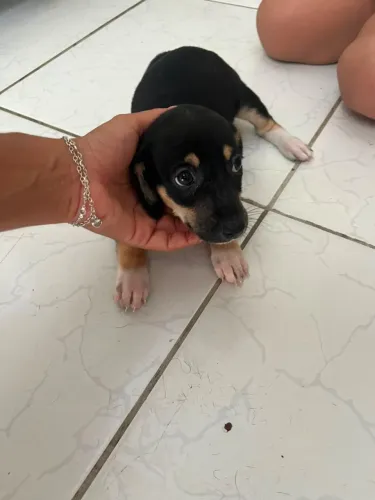 Doação 