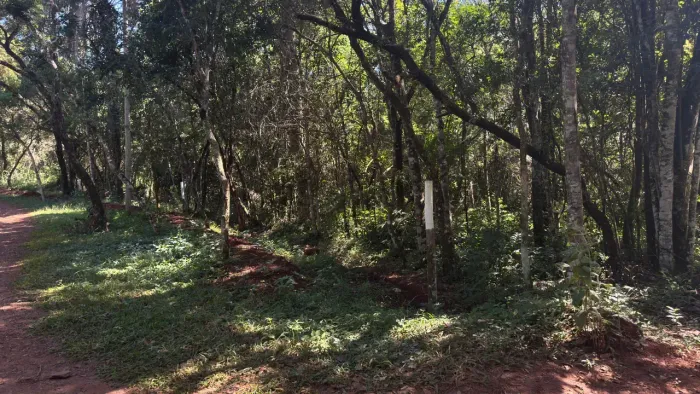 Lotes no Quintas da Boa Vista em Brumadinho de 1.000 metros - Exclusivos!