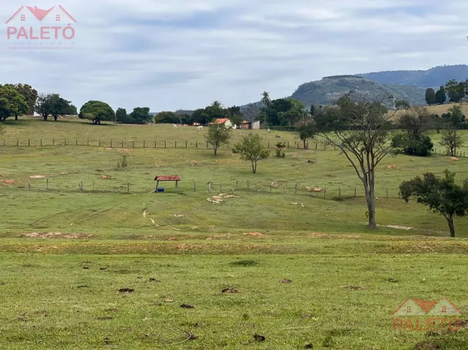 Sítio 43 hectares com boa topografia, a venda na cidade de Porangaba interior de sp