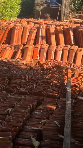 Telha plam seminova resinadas