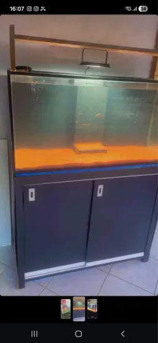 Aquário completo 