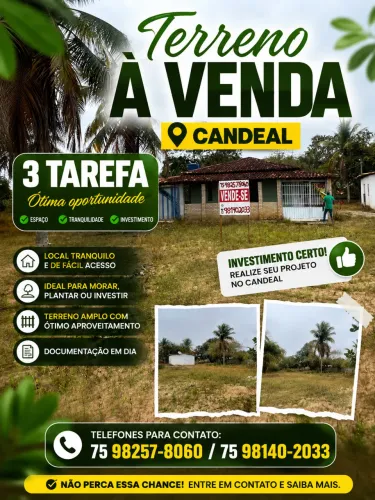Vende-se terreno em candial 3 tarefas