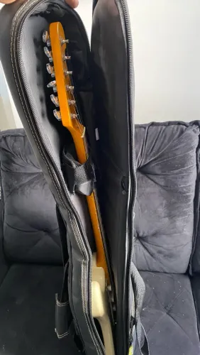 Guitarra Stratocaster Tagima Woodstock Series tg 530