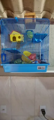 Gaiola Para Hamister 
