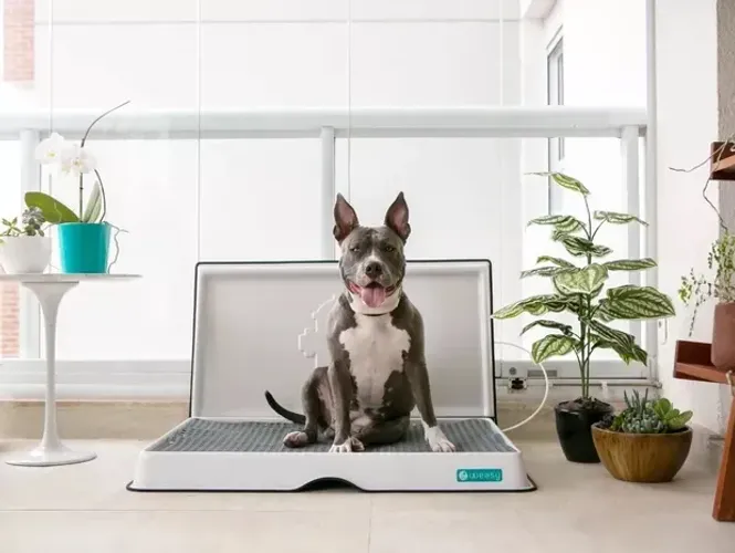 Banheiro inteligente pra pet 