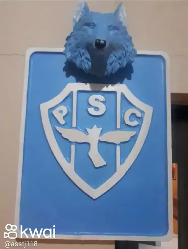 Quadro Completo do PAYSANDU PERSONALIZADO 