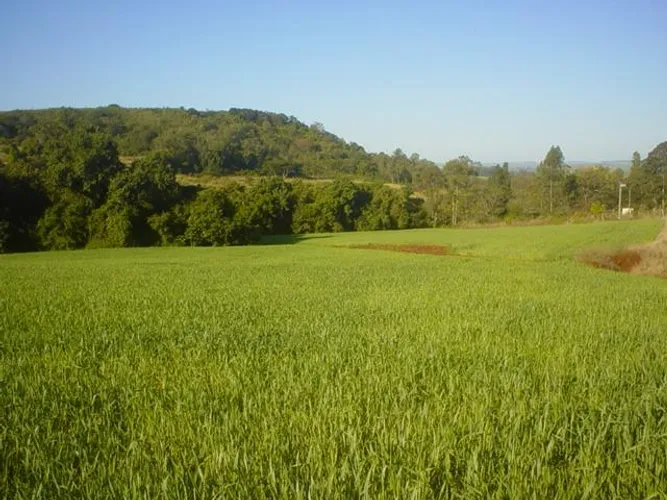 Chácaras a partir de 20.000,00 m2 em Ibiporã, dentro do perímetro urbano