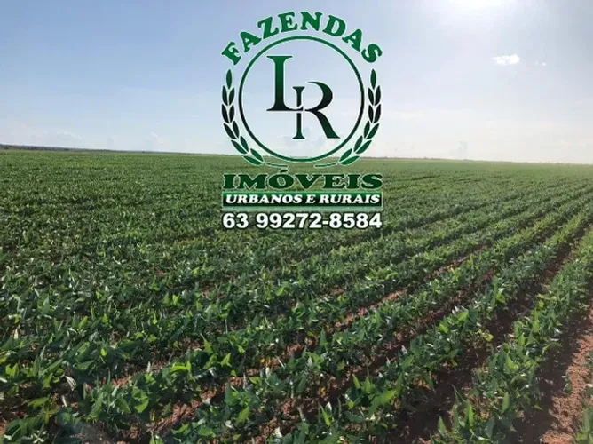 Fazenda com Dívida Área 425 Alqueires Agricultura Plantando