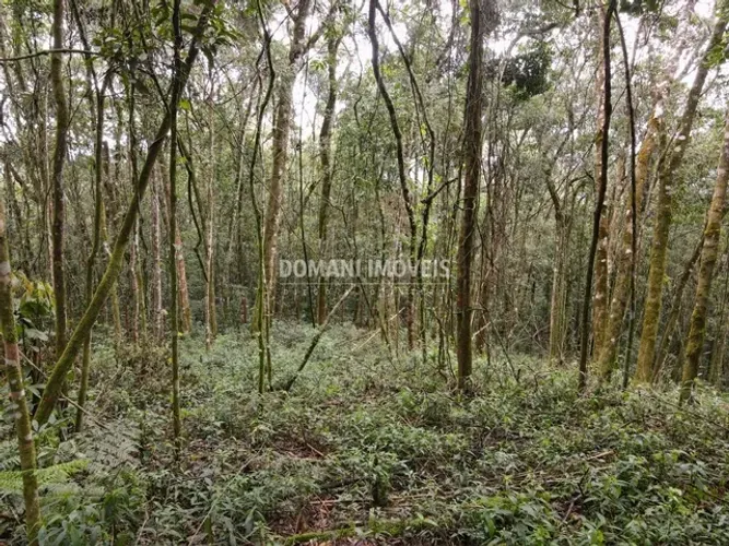 Terreno à Venda na Região do Alpes de Campos do Jordão - Campos do Jordão/SP