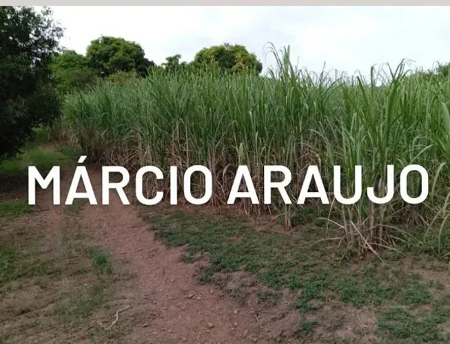 Oportunidade Sitio 45 Km De Montes claros..Água de Rio,Casa Sede,, Escriturado..