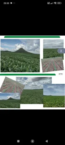 Fazenda 8.446.28 hect a 84km de Cuiabá MT