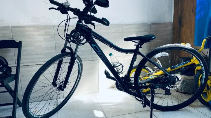 Bicicleta aro 29
