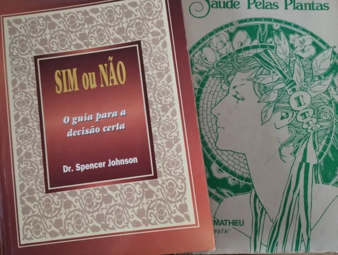 Livro Diversos (Autoajuda)