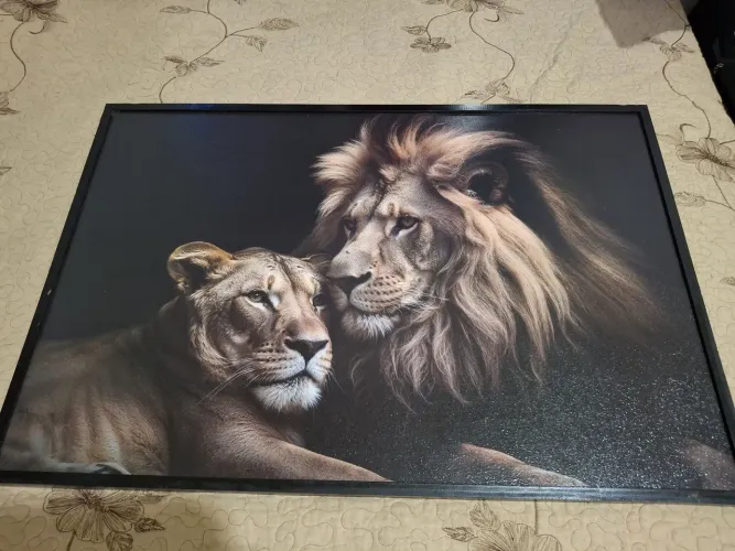 Quadro leões casal