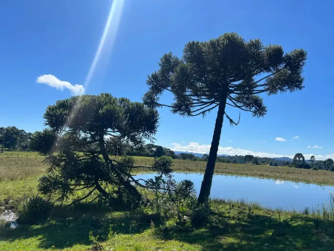Área com localização privilegiada próxima a Cachoeira Papuã e Cascata do Avencal, em Urubi