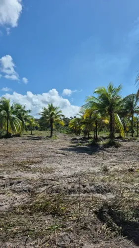 Lotes de Terreno em Berlinque a partir de R$ 3.000,00 de entrada- Parcelamento Facilitado!