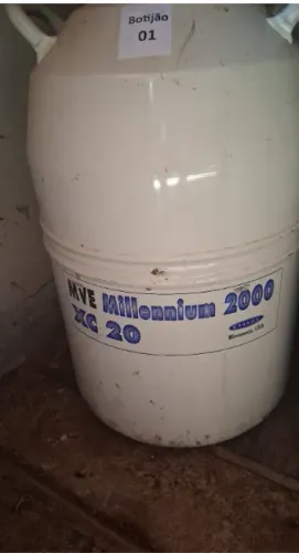 BOTIJÃO SEMEM - MVE Millennium 2000 - XC 20