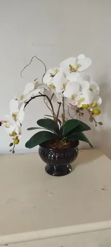 Arranjos permanentes beleza e qualidade,parcela em 3 x sem juros!