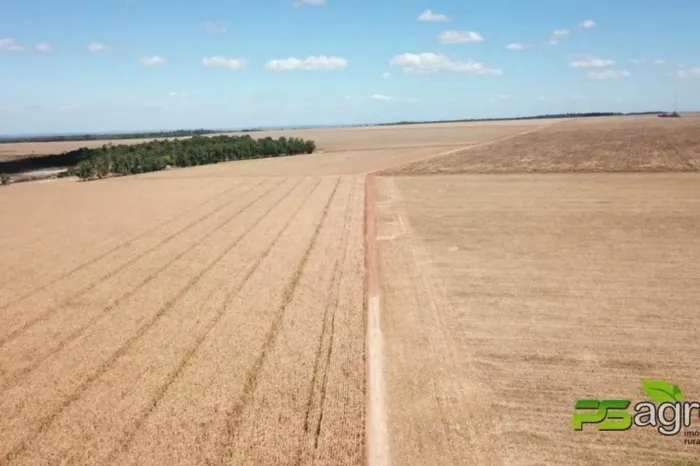 Fazenda arrendamento 5.200hec plantando tudo em Confresa/vila rica, sem ágio.