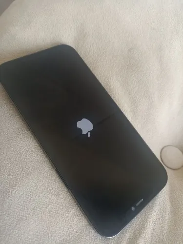 iPhone 12 pro Max 256 gb Molhou Na chuva 