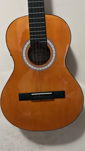 Viola Giannini Start