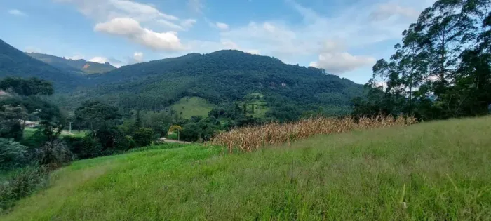 Área de terra bairro Joaneta, Picada Café. RS Ref.:167