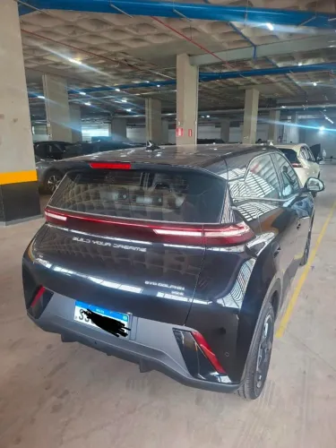 BYD Dolphin Mini (Elétrico) 2025