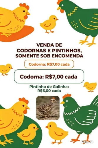 Codorna