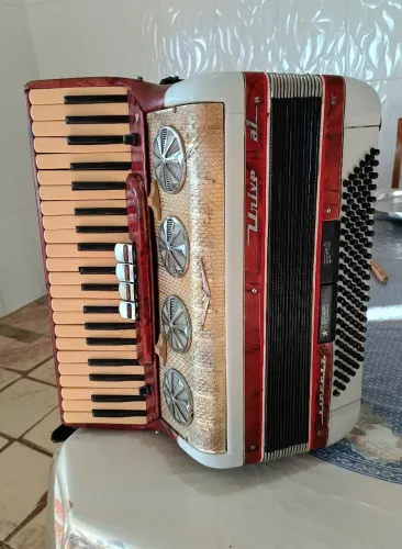 Acordeon sanfona universal 120 baixos