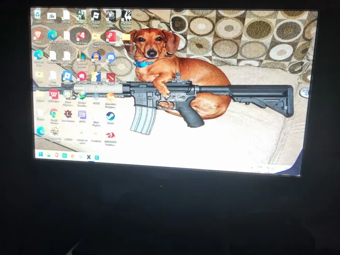 Vendo monitor