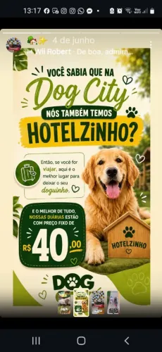 Creche e hotel pra seu pets