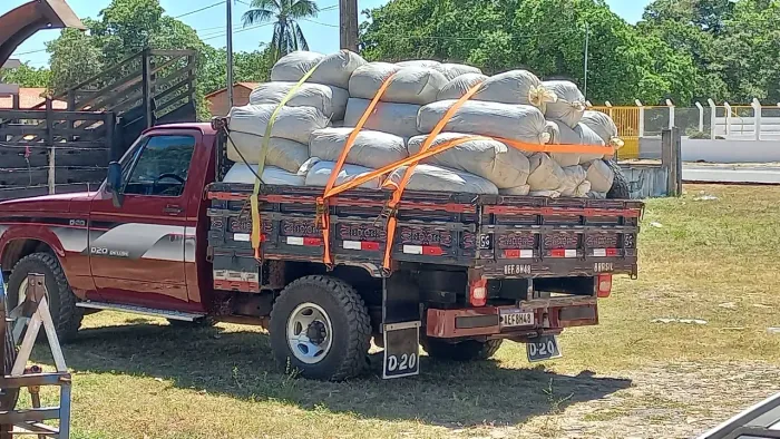 Silagem de milho