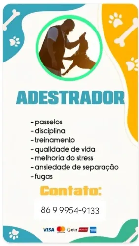 PRECISANDO DE ALGUEM PRA ADESTRAR OU PASSEAR?