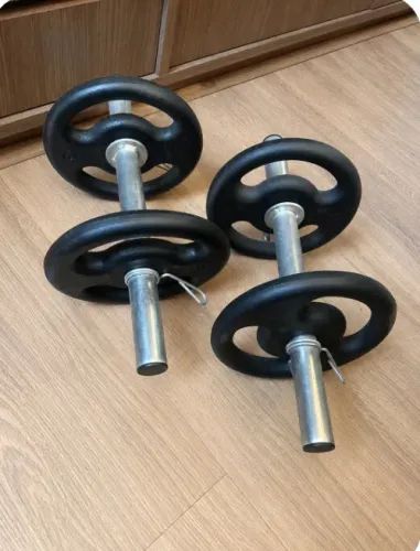 Halteres