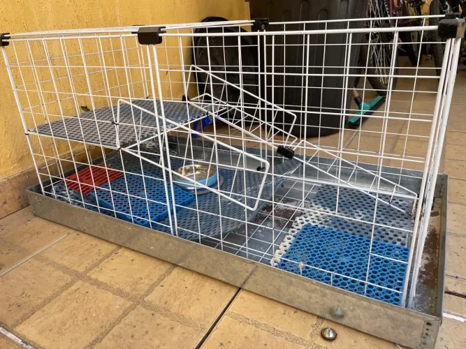 Gaiola para coelhos e hamster