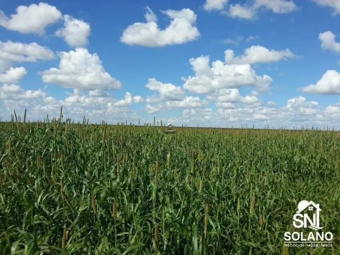 FAZENDA NO MUNICIPÍO DE COCOS ÁREA DE 40.000 MIL HECTARES