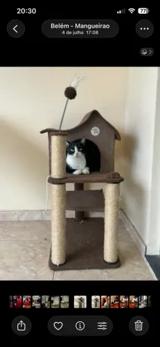 Casinha pet com arranhador