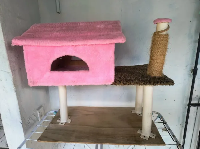 Casa para gatos
