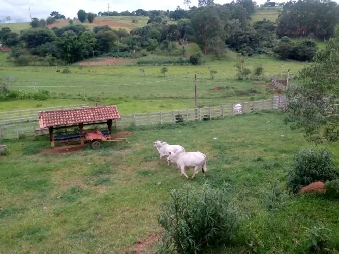 Fazenda/Sítio/Chácara para venda tem 532000 metros quadrados com 2 quartos