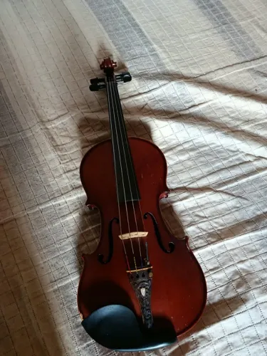 Violino Eagle 4/4 + Case Térmico - R$ 400 (Excelente Custo-Benefício!)