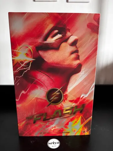 Hot Toys The Flash 1:6 Action Figure