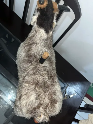 Bode artesanal pra colocar bebida