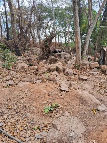 Vendo terreno 15 de frente por 15 de fundo